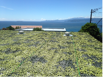 Kanagawa, Japan Reconstruction of drainage basin on condominium site (1066)