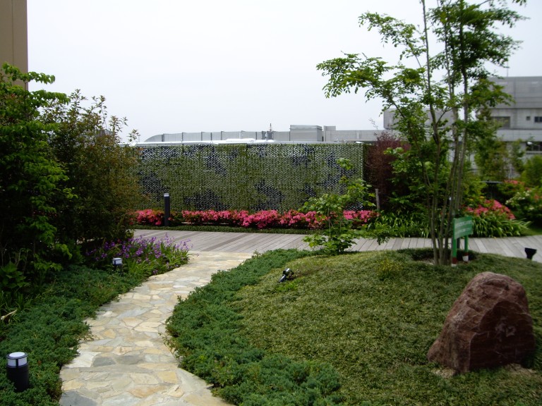 Rooftop landscape greening work at shopping center (1071)