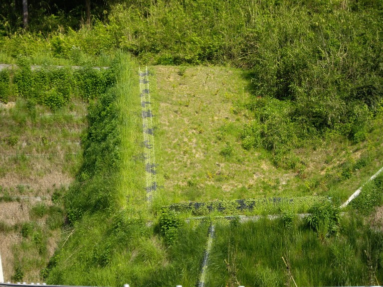 Masonry wall blindfold greening work near tunnel (1073)