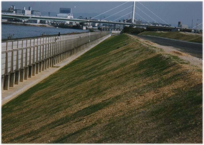 Osaka Prefecture High-standard river bank slope protection work (multinatural revetment greening) (1097)