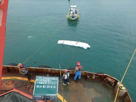 Miyagi coastal disaster restoration work (876)