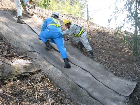 Chiba Prefecture Bamboo-proofing work (996)