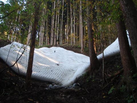 長野県　山間部法面保護工事(662)